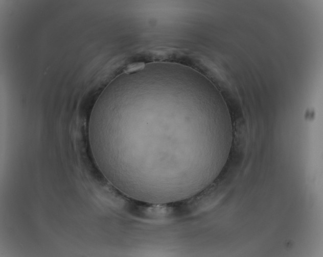X0000092220225200709281050