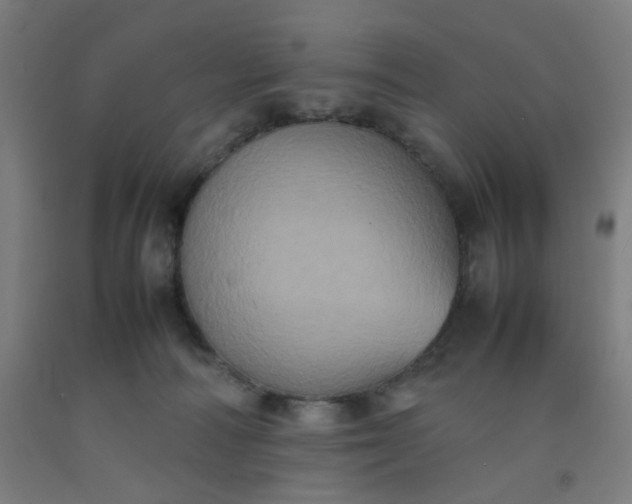X0000092220226200709281050