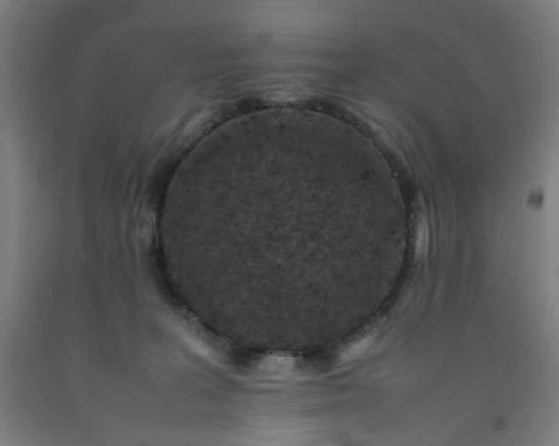 X0000092220227200709281050