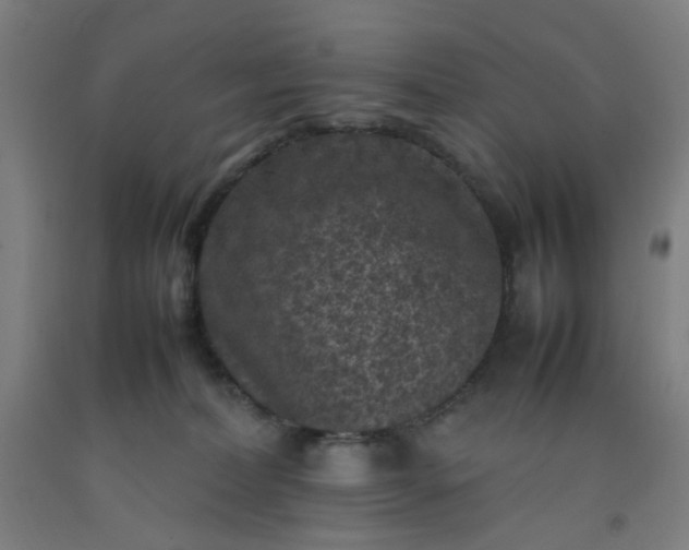 X0000092220228200709281050
