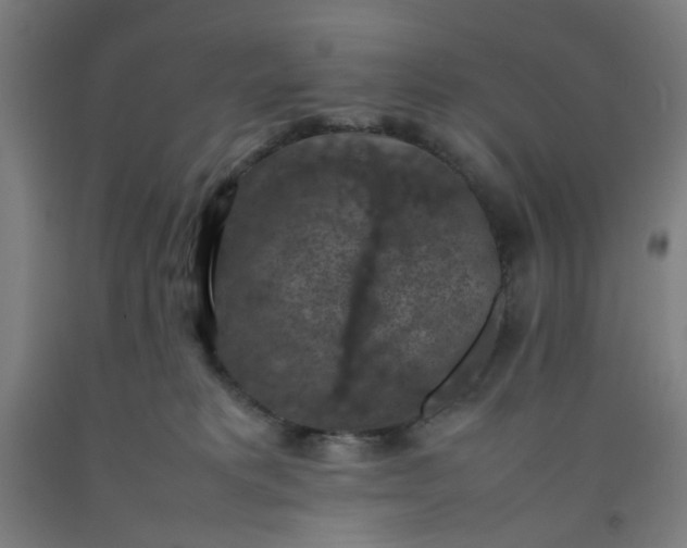 X0000092220229200709281050