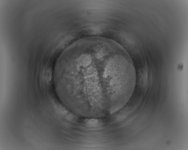 X0000092220230200709281050