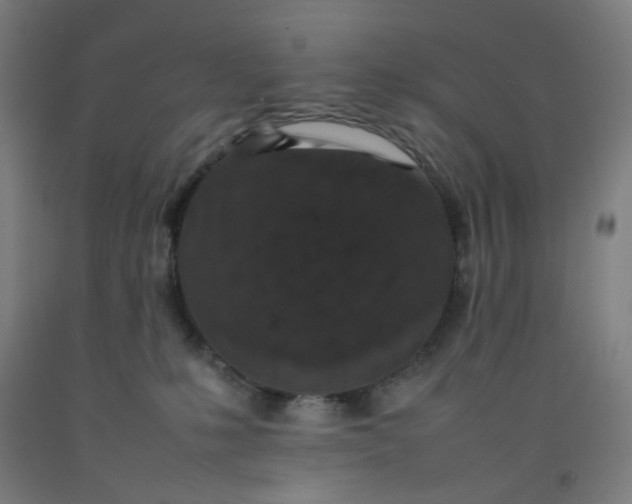 X0000092220231200709281050