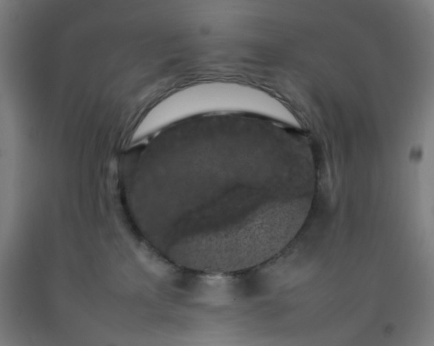 X0000092220233200709281050