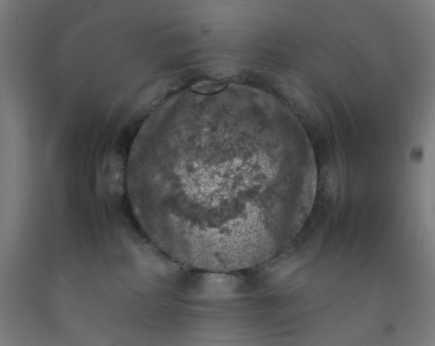 X0000092220234200709281050