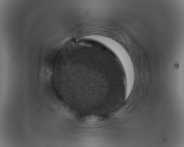 X0000092220235200709281050