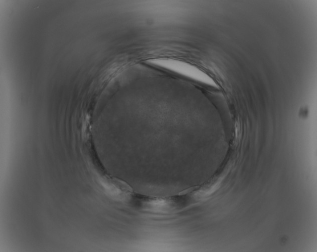 X0000092220237200709281050