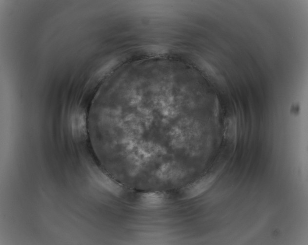 X0000092220238200709281050