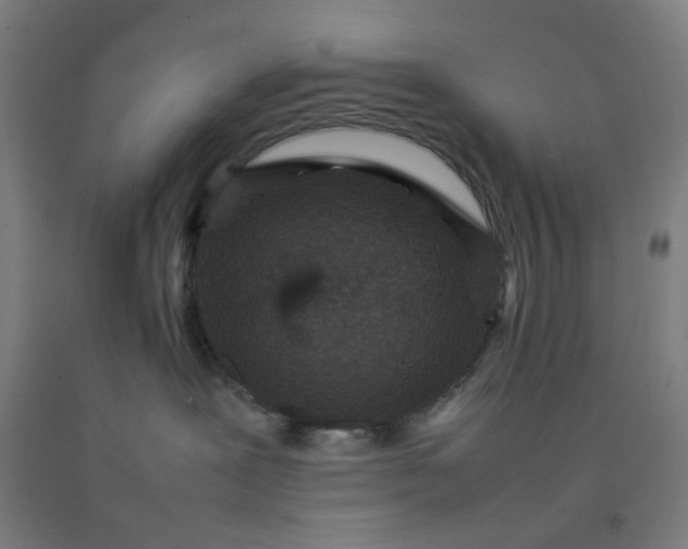 X0000092220239200709281050