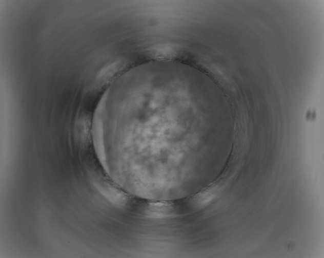 X0000092220240200709281050