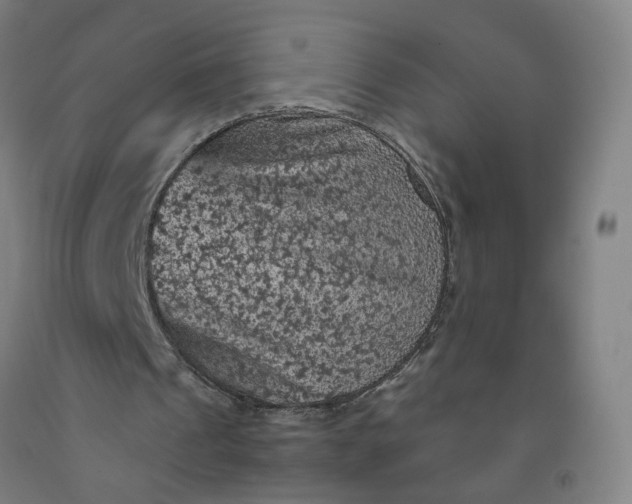 X0000092220241200709281049