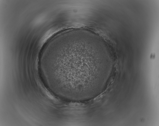 X0000092220242200709281049
