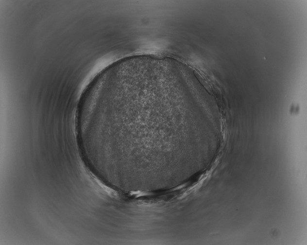 X0000092220244200709281049
