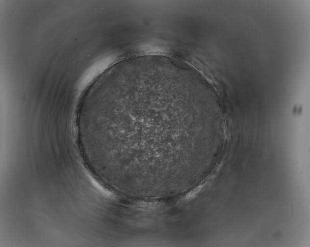 X0000092220245200709281049