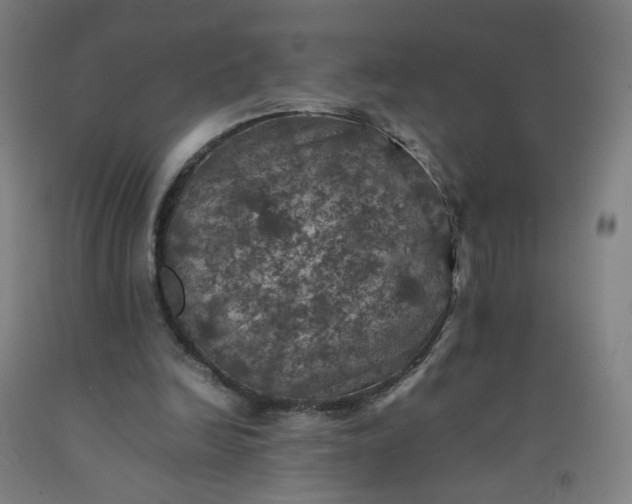 X0000092220246200709281049