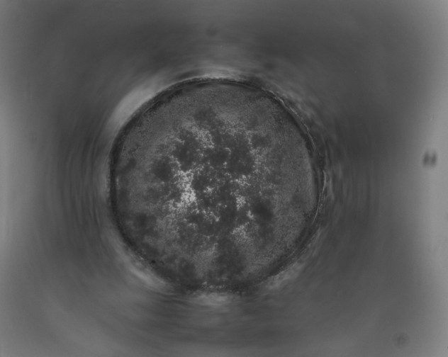 X0000092220247200709281049