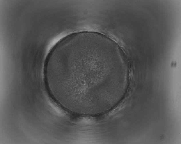X0000092220248200709281049