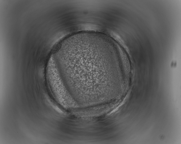 X0000092220249200709281049