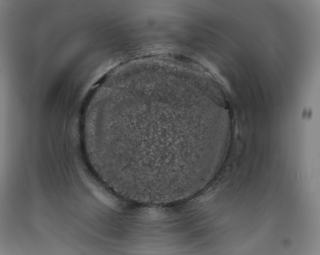 X0000092220250200709281049