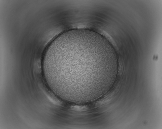 X0000092220251200709281049
