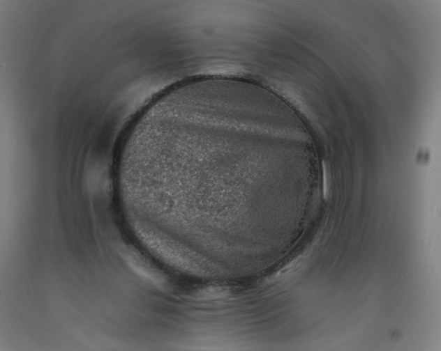X0000092220252200709281049