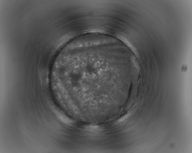 X0000092220253200709281049