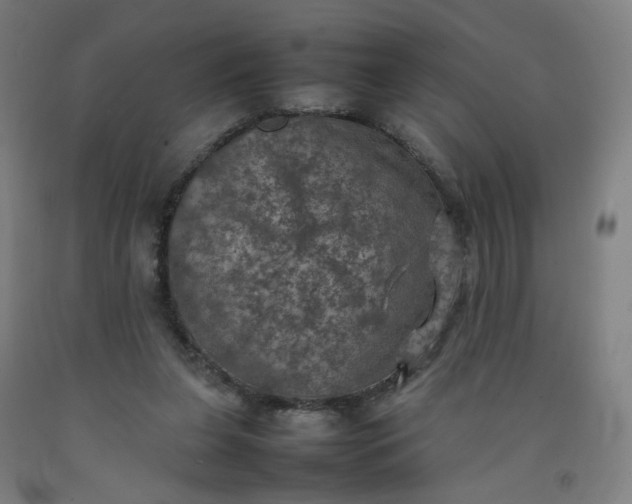 X0000092220255200709281049