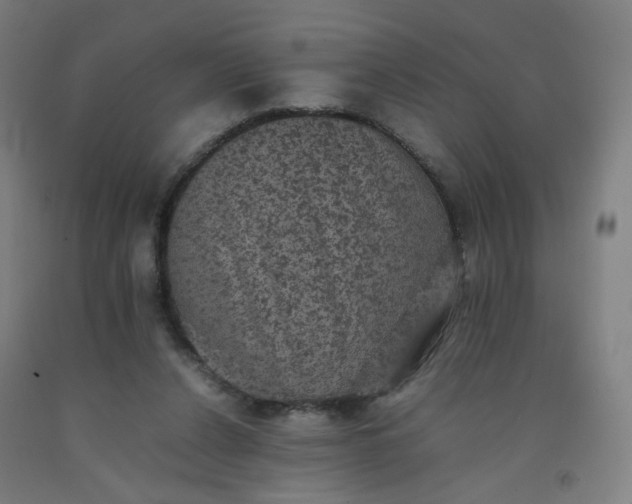 X0000092220256200709281049