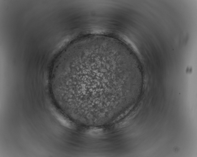 X0000092220257200709281049