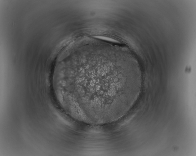 X0000092220258200709281049