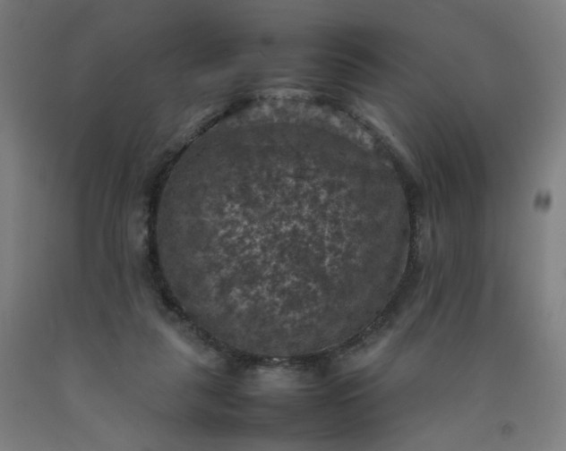 X0000092220259200709281049
