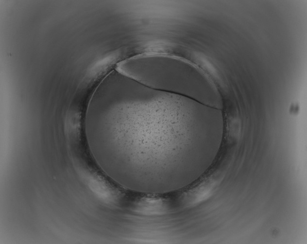 X0000092220260200709281049