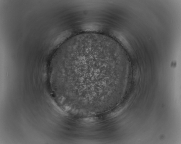 X0000092220261200709281049
