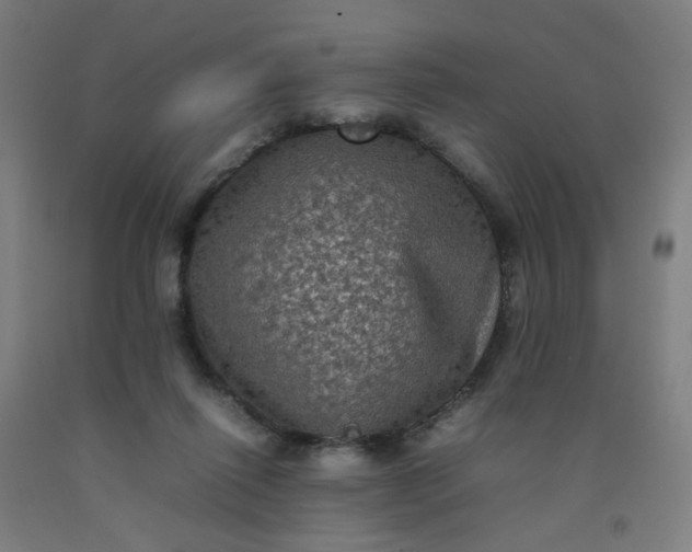 X0000092220262200709281049