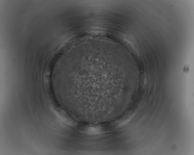 X0000092220263200709281049