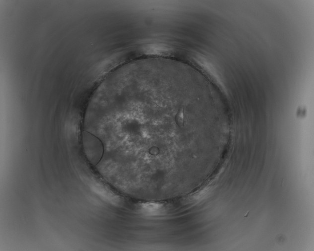 X0000092220265200709281049