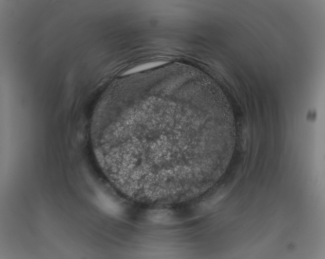 X0000092220266200709281049