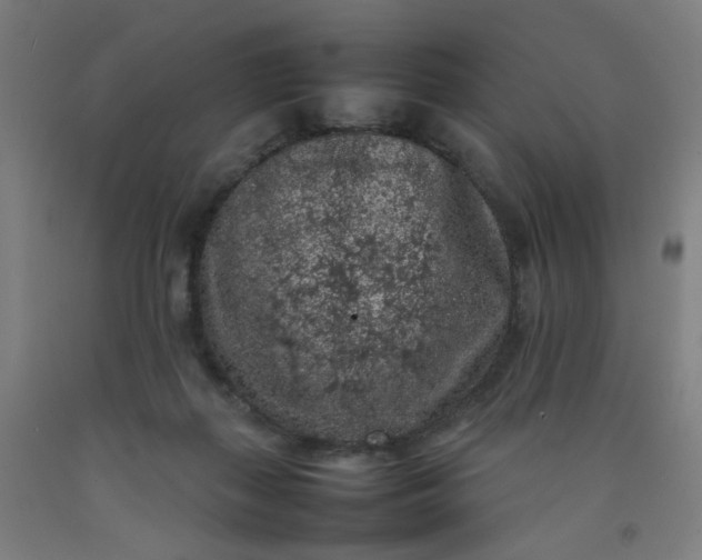X0000092220267200709281049