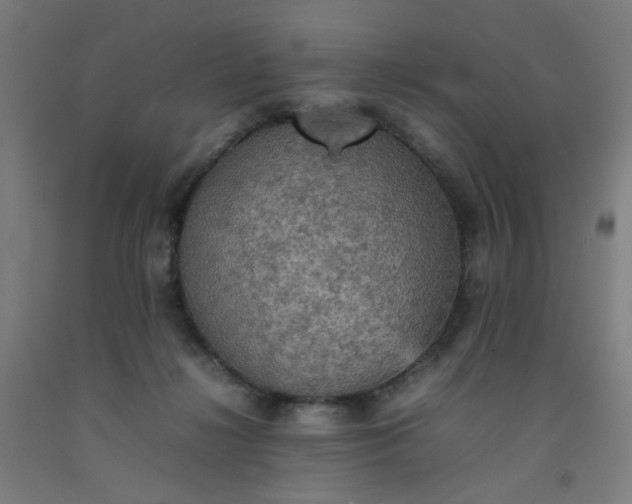 X0000092220268200709281049