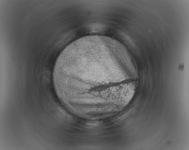 X0000092220269200709281049