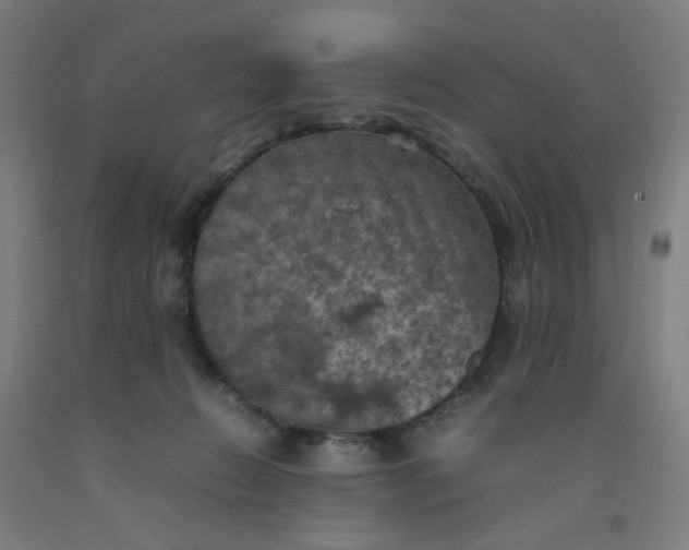 X0000092220270200709281049