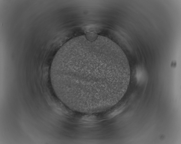 X0000092220271200709281049