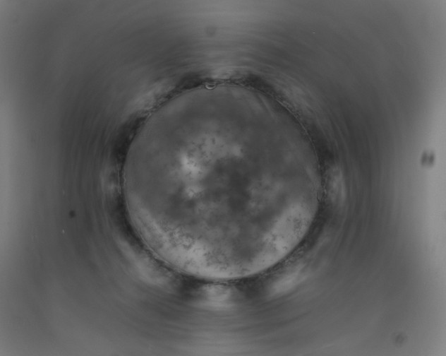 X0000092220272200709281049
