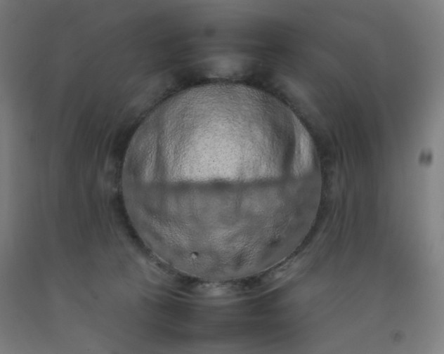 X0000092220273200709281049