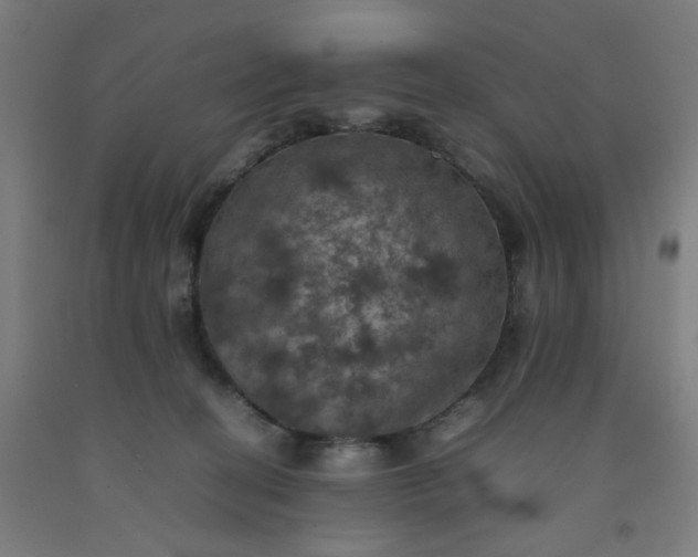 X0000092220274200709281049