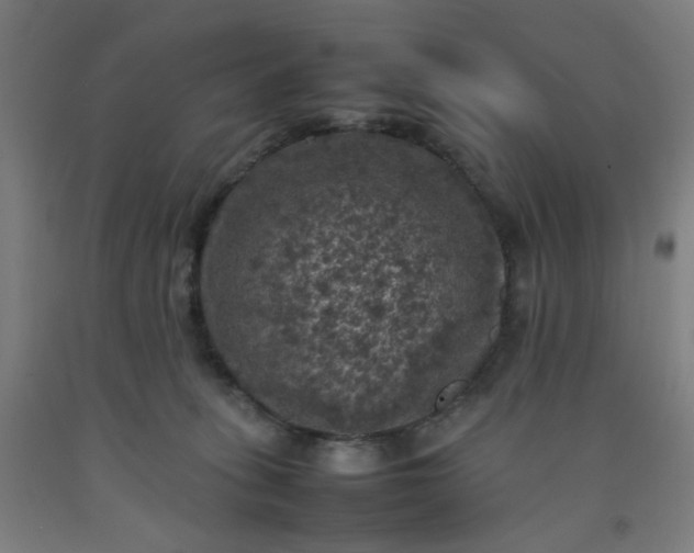 X0000092220275200709281049