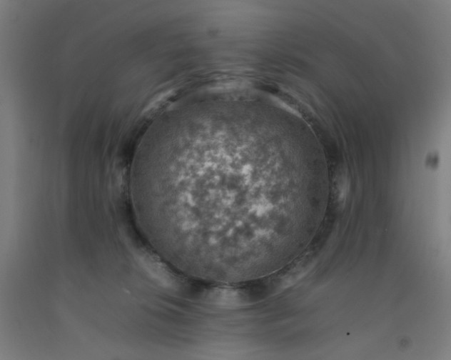 X0000092220276200709281049