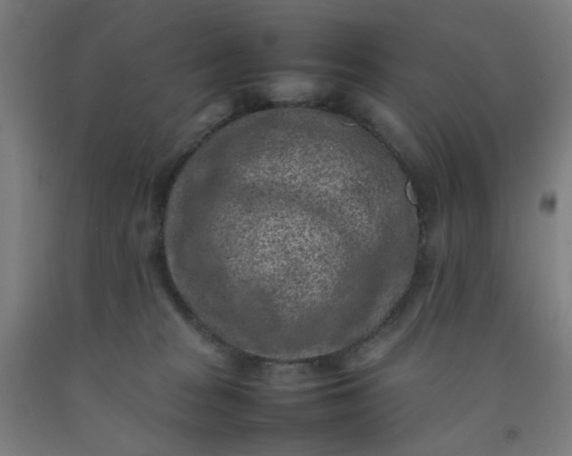 X0000092220277200709281049