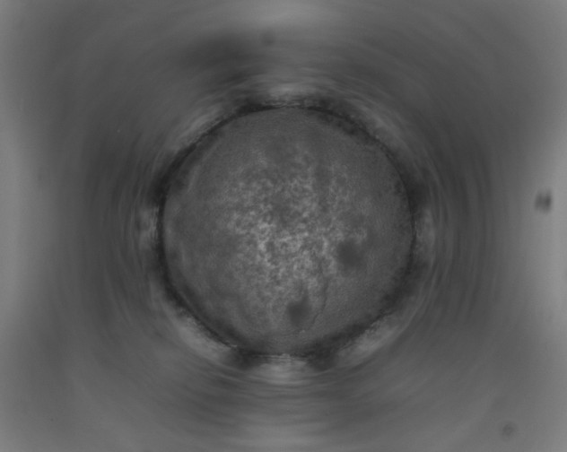 X0000092220278200709281049