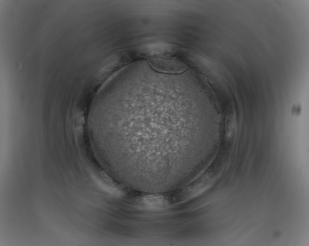 X0000092220279200709281049